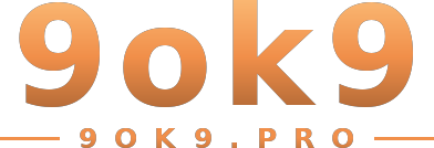 9ok9 logo